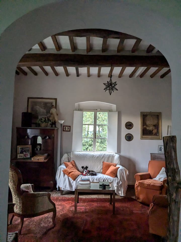 Salon