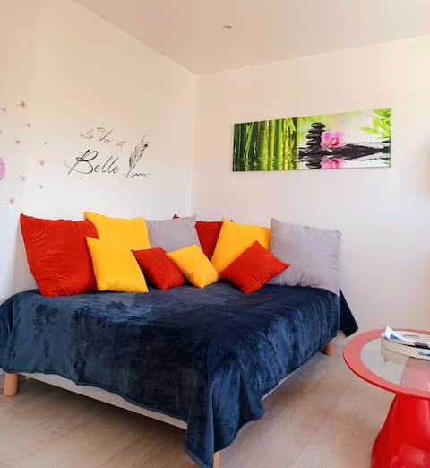 Propriété Airbnb réussie: LE PUY DU FOU 3 KM AWAY, LES PALMIERS GITE 4 PERS. à Les Epesses
