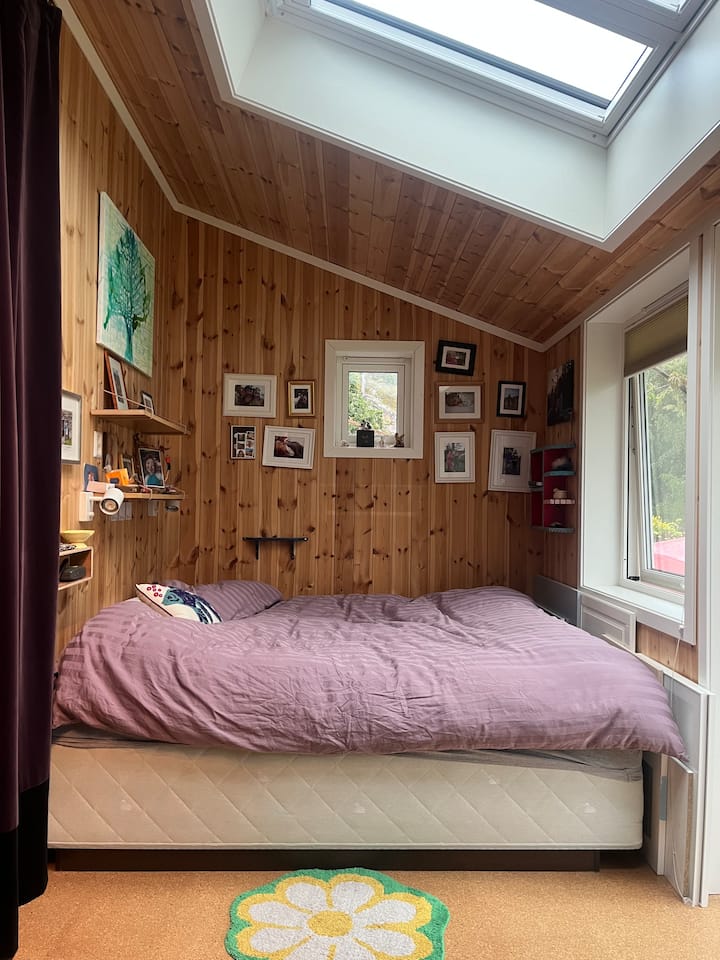 ברכים בבוקר על ידי ברווזים? בחדר השינה הזה יש "שעון מעורר" בלעדי. מיטת ברבור נוחה 200x200. אפשר לראות את הכוכבים דרך חלונות הגג (הבלנדר החשמלי) או לצאת ישירות לגינה השופעת בחוץ.