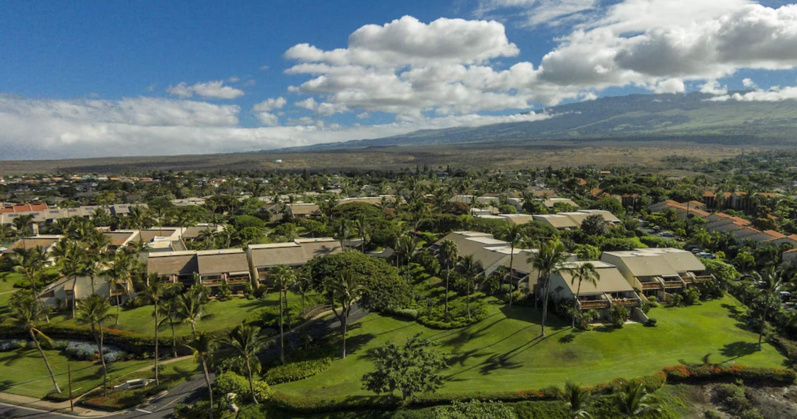 Condo in Kihei · ★4.96 · 2 bedrooms · 3 beds · 2 baths - Image 20