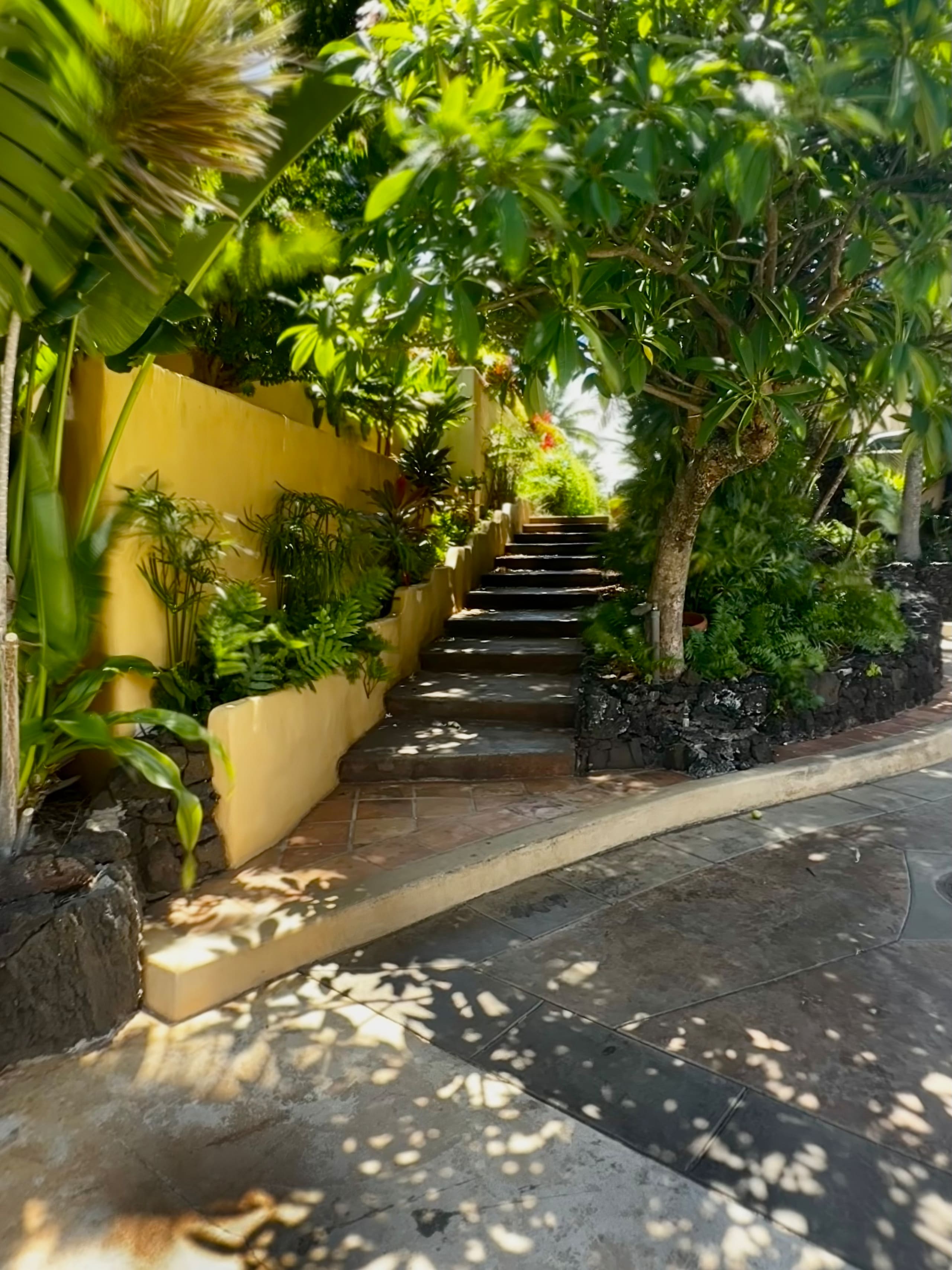 North Shore -  2bd & 2bth AC - Ho'okipa  & Paia - Image 19