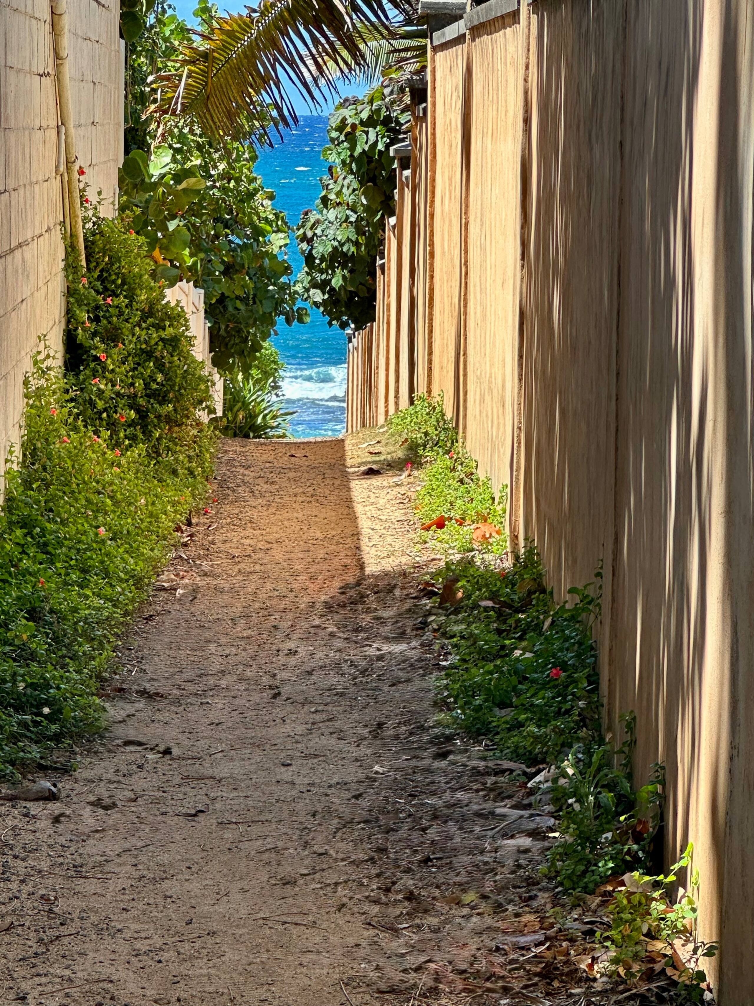 North Shore -  2bd & 2bth AC - Ho'okipa  & Paia - Image 20