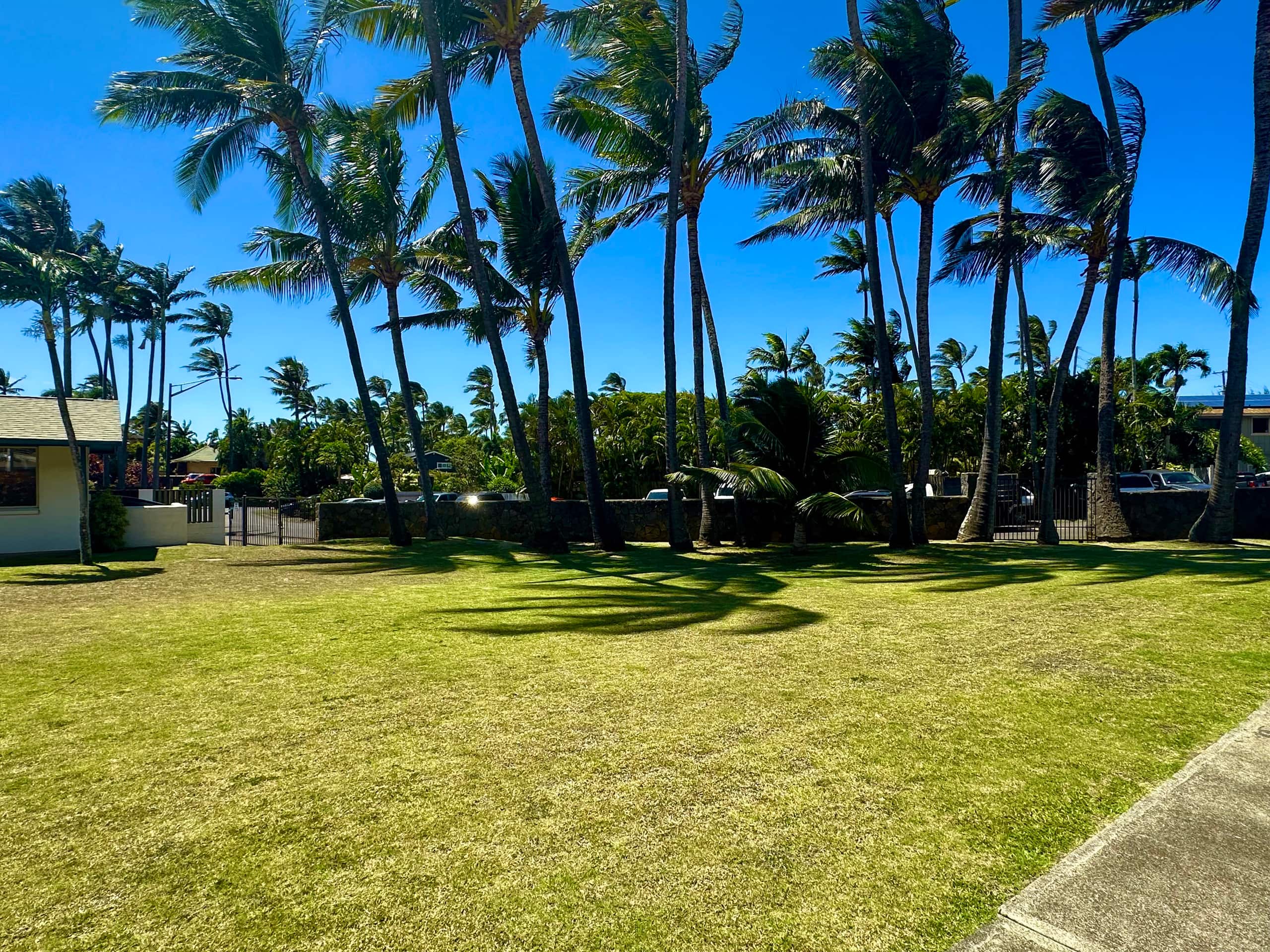 North Shore -  2bd & 2bth AC - Ho'okipa  & Paia - Image 22