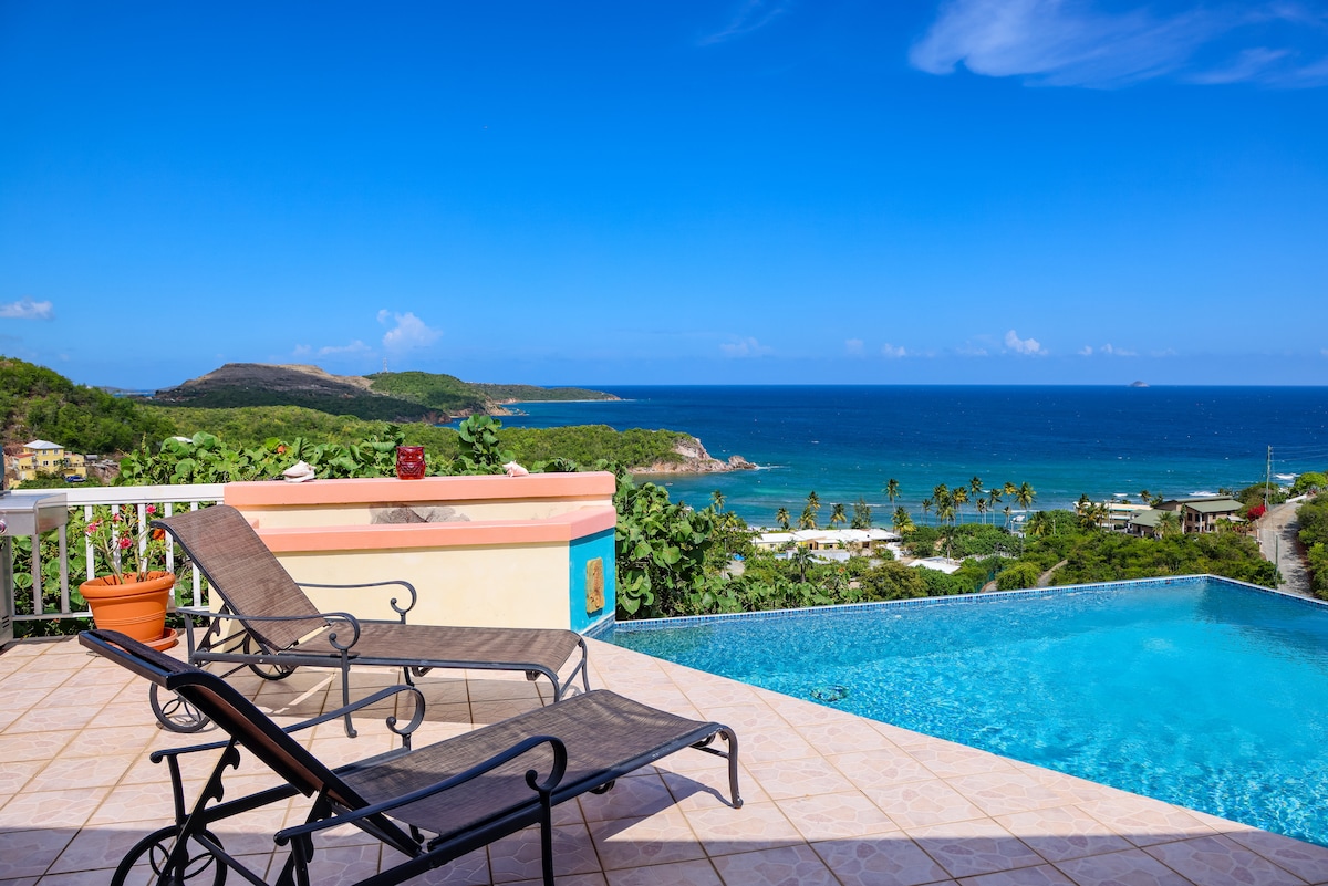 A tranquil infinity pool overlooks the vibrant blue Caribbean Sea, framed by lush tropical foliage. Two lounge chairs are positioned beside the pool on a tiled terrace, inviting relaxation while enjoying the stunning coastal view and gentle ocean breeze.