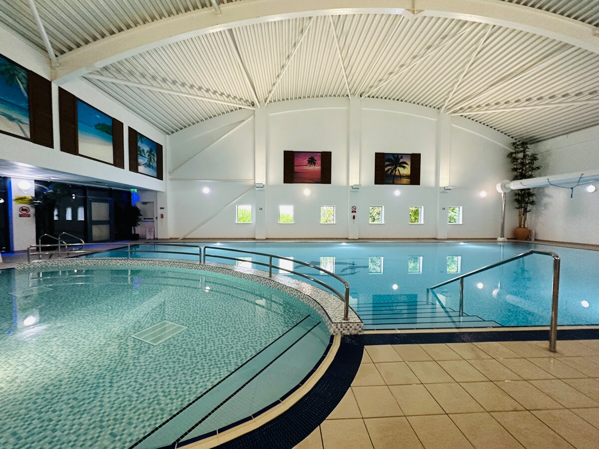An indoor heated pool is shown, featuring a curved edge and steps leading into the water. Natural light filters through the large windows, highlighting palm tree artwork on the walls. The spacious area is complemented by tiled flooring and modern design elements throughout.