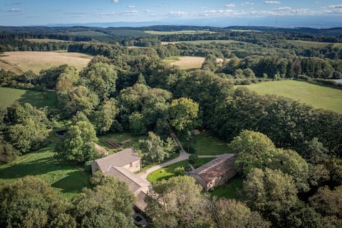 Beautiful setting, forest, pool, a special place