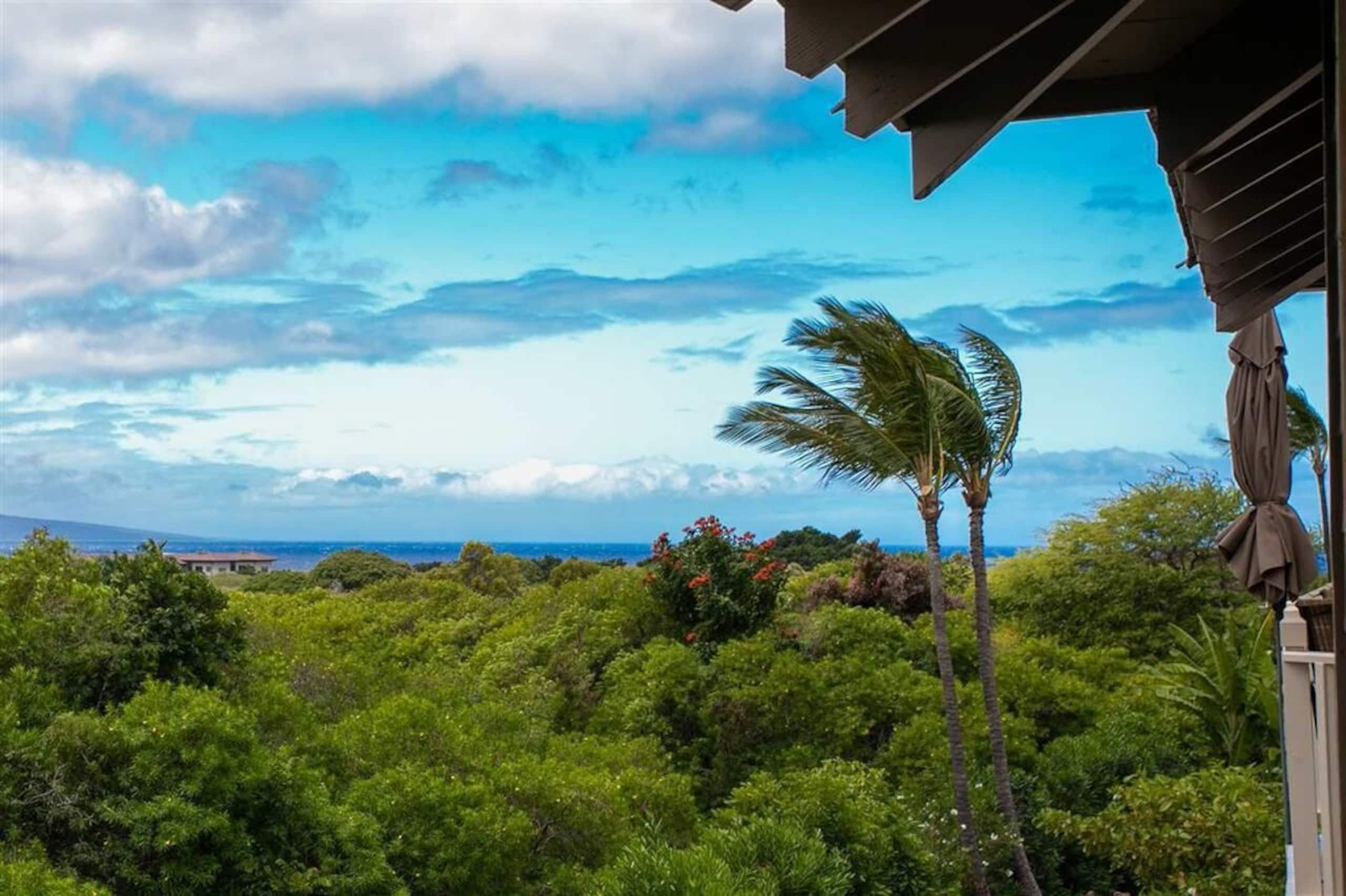 Condo in Kihei · ★5.0 · 2 bedrooms · 2 beds · 2 baths - Image 1