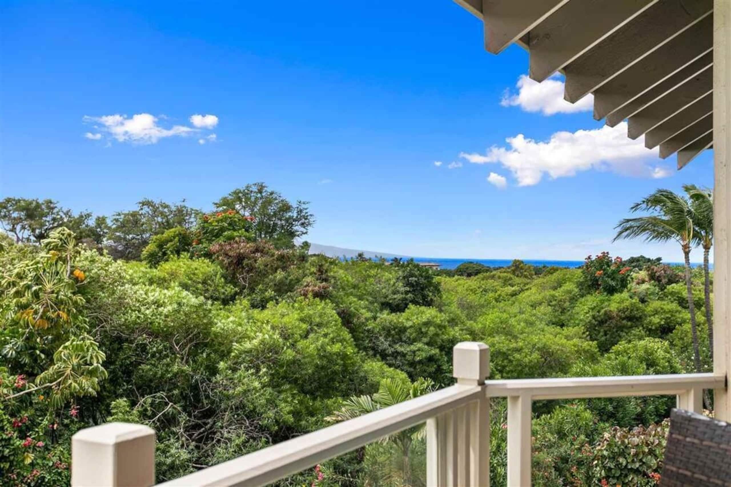 Condo in Kihei · ★5.0 · 2 bedrooms · 2 beds · 2 baths - Image 20