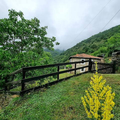 House in the Oso Valley