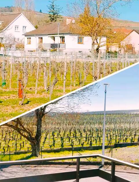 Detached house on the WINE ROUTE