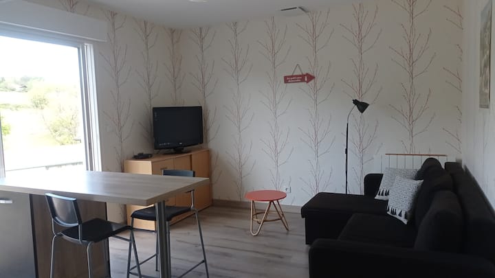 Appartement Cosy De 35m2 Avec Terrasse, Parking. - Cambo-les-Bains