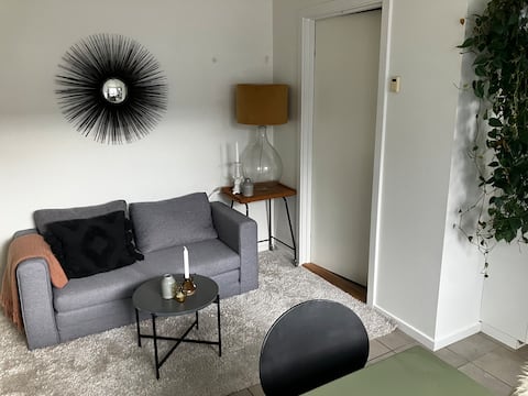 Successful Airbnb property: Centrally located apartment in a quiet neighborhood. in Silkeborg