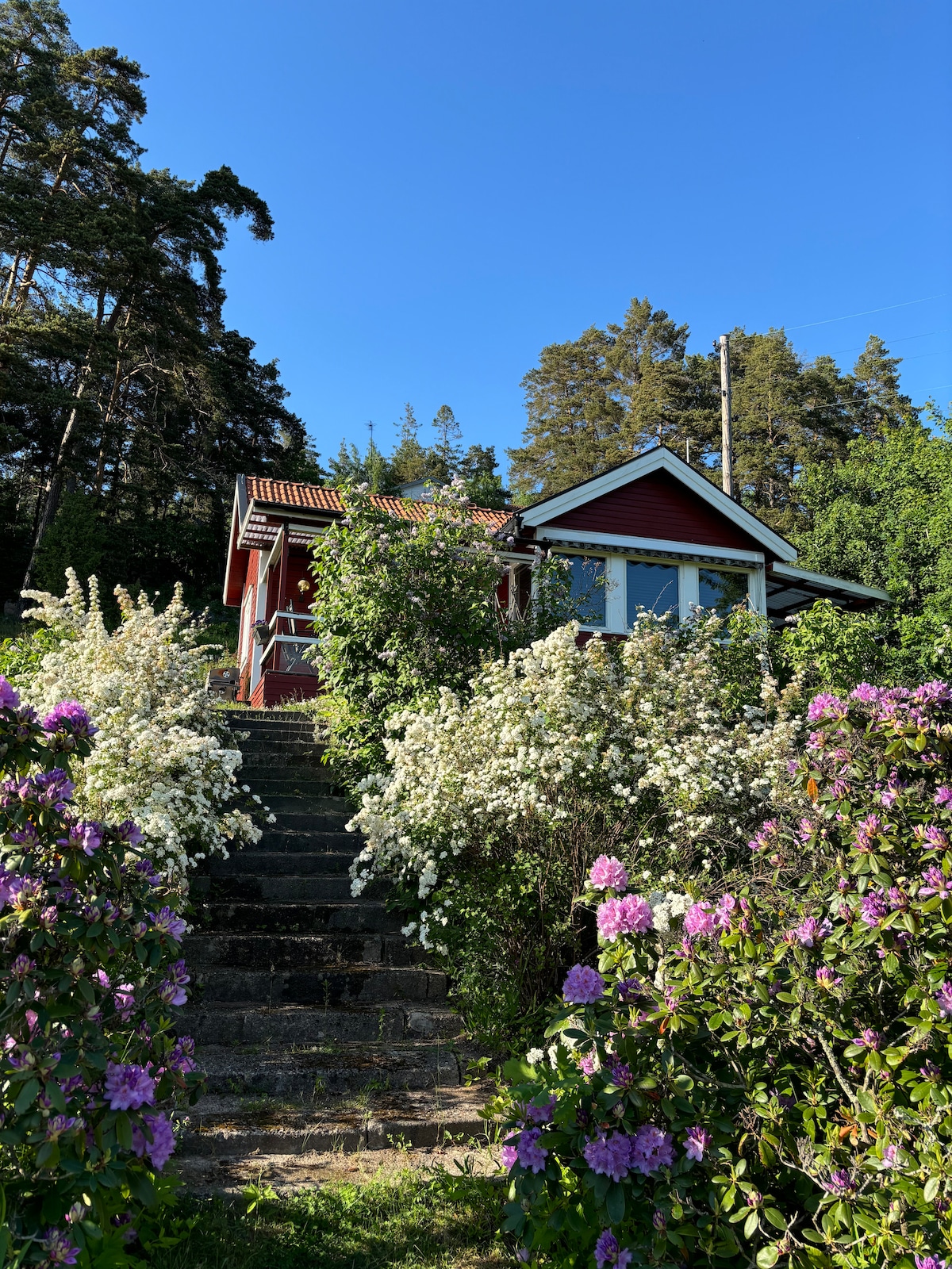 A charming red house is framed by blooming white and purple flowers, leading up to a stone staircase. Lush greenery surrounds the exterior, and clear blue skies provide a serene backdrop to this peaceful setting.