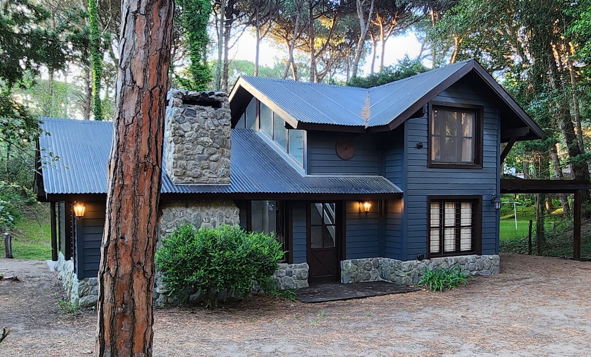 A two-story house with a stone chimney is surrounded by tall pine trees. The dark blue exterior features large windows and a welcoming entrance. A gravel pathway leads to the front door, while lush greenery complements the natural setting.