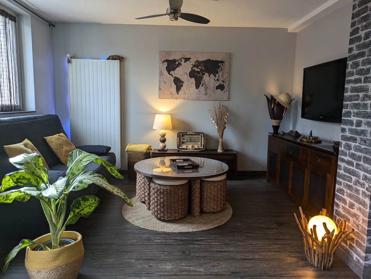 Propriété Airbnb réussie: "LE MOUTARDE" T3-57 m², terrace, very comfortable... à Faubourg Nord