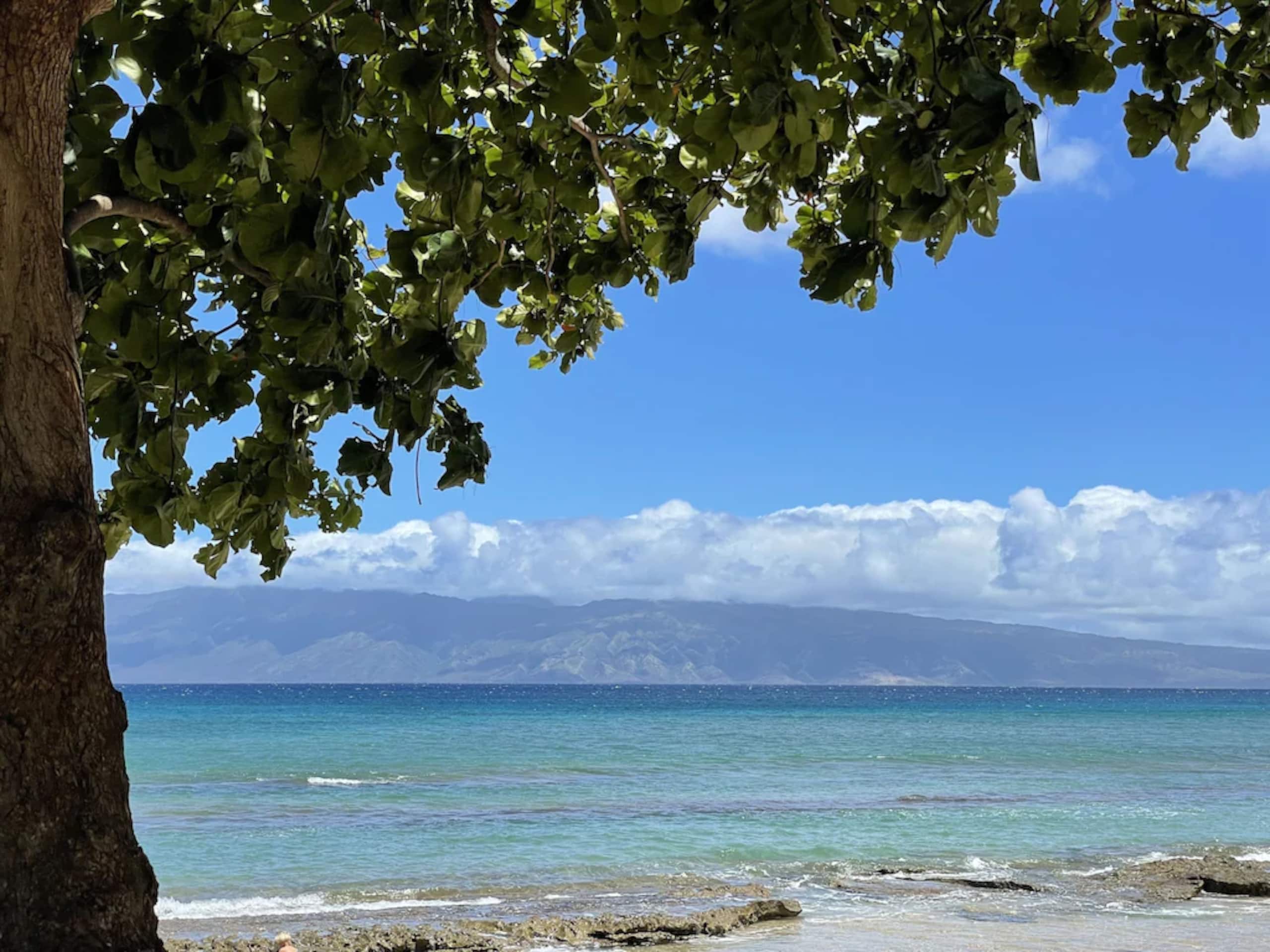 Condo in Lahaina · ★4.91 · 2 bedrooms · 4 beds · 2 baths - Image 59