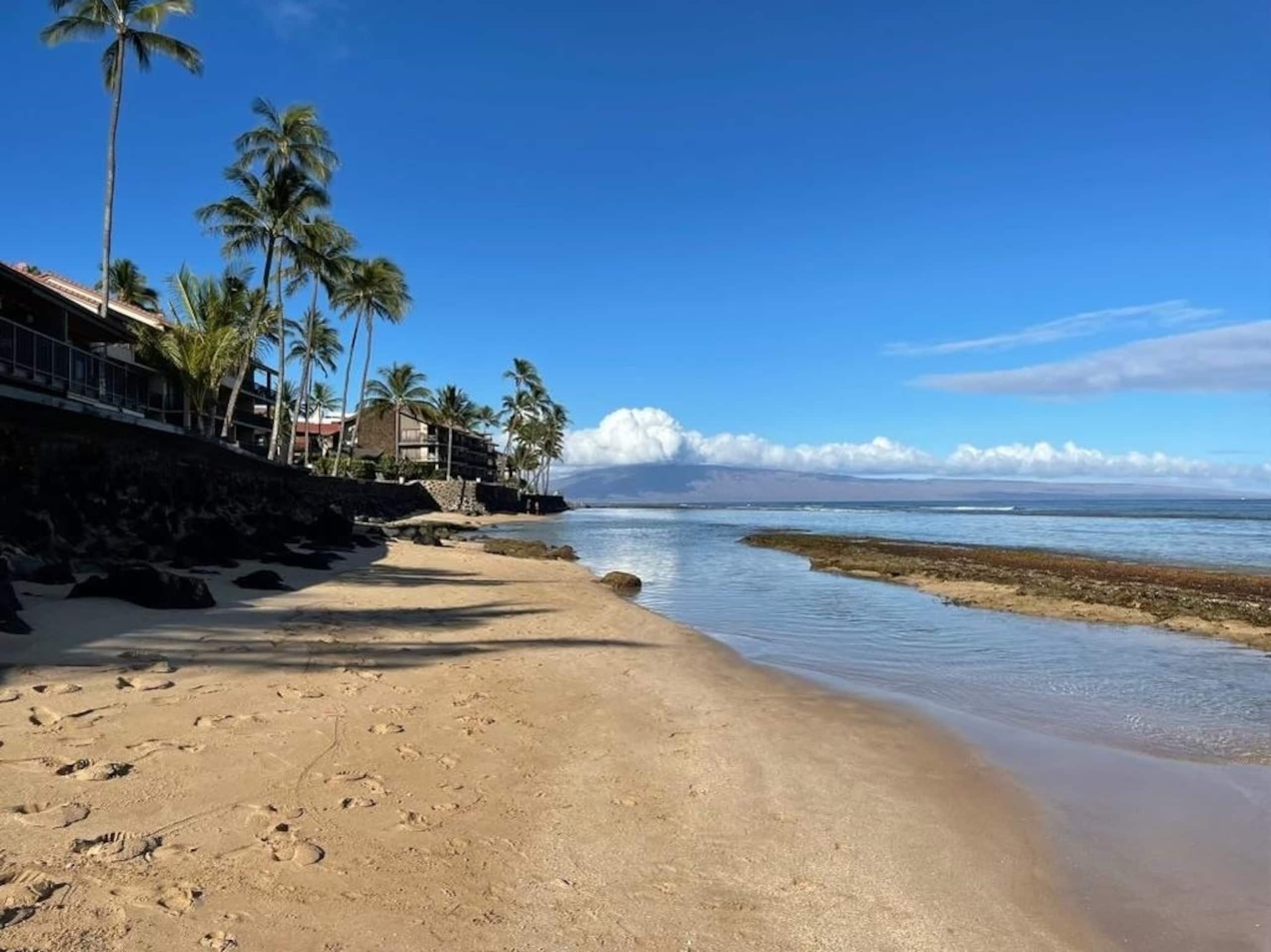 Condo in Lahaina · ★4.91 · 2 bedrooms · 4 beds · 2 baths - Image 50