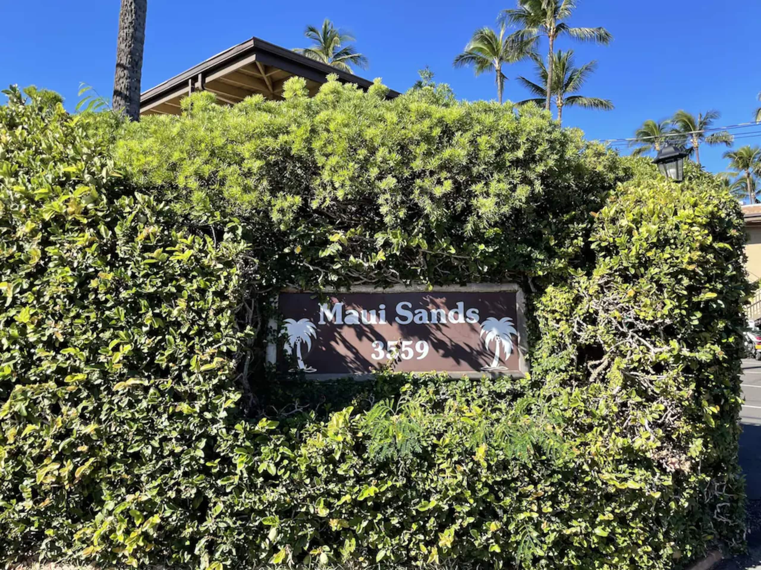 Condo in Lahaina · ★4.91 · 2 bedrooms · 4 beds · 2 baths - Image 29