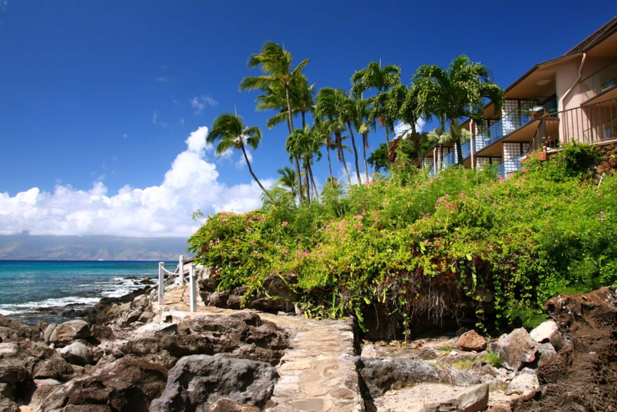 Condo in Lahaina · ★4.91 · 2 bedrooms · 4 beds · 2 baths - Image 23