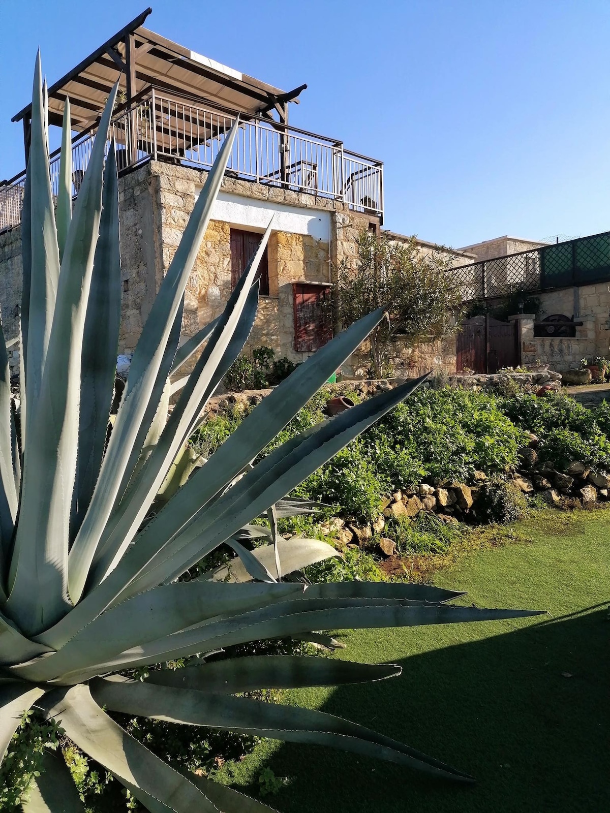 A vibrant garden is foregrounded by large succulent leaves, with a stone village house visible in the background. A rooftop terrace is glimpsed atop the house under a clear blue sky, complemented by greenery throughout the area.