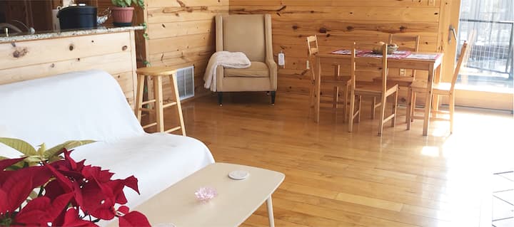 יש פוטון, טלוויזיה ופינת אוכל בסלון.  