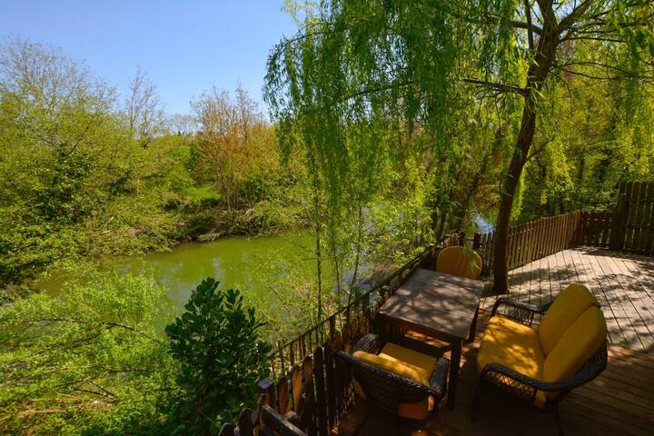 Ağva Çınarhan Villas gallery image 4