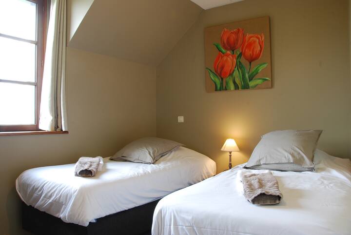 Habitación con 2 camas individuales