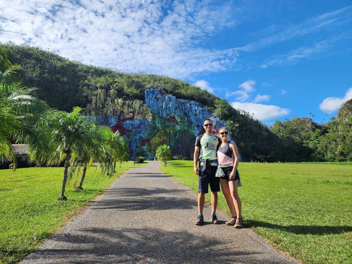 A picturesque path lined with green grass and palm trees leads towards a large mural on a hillside. The sky is bright, featuring scattered clouds, creating a vibrant backdrop for the scenic landscape.