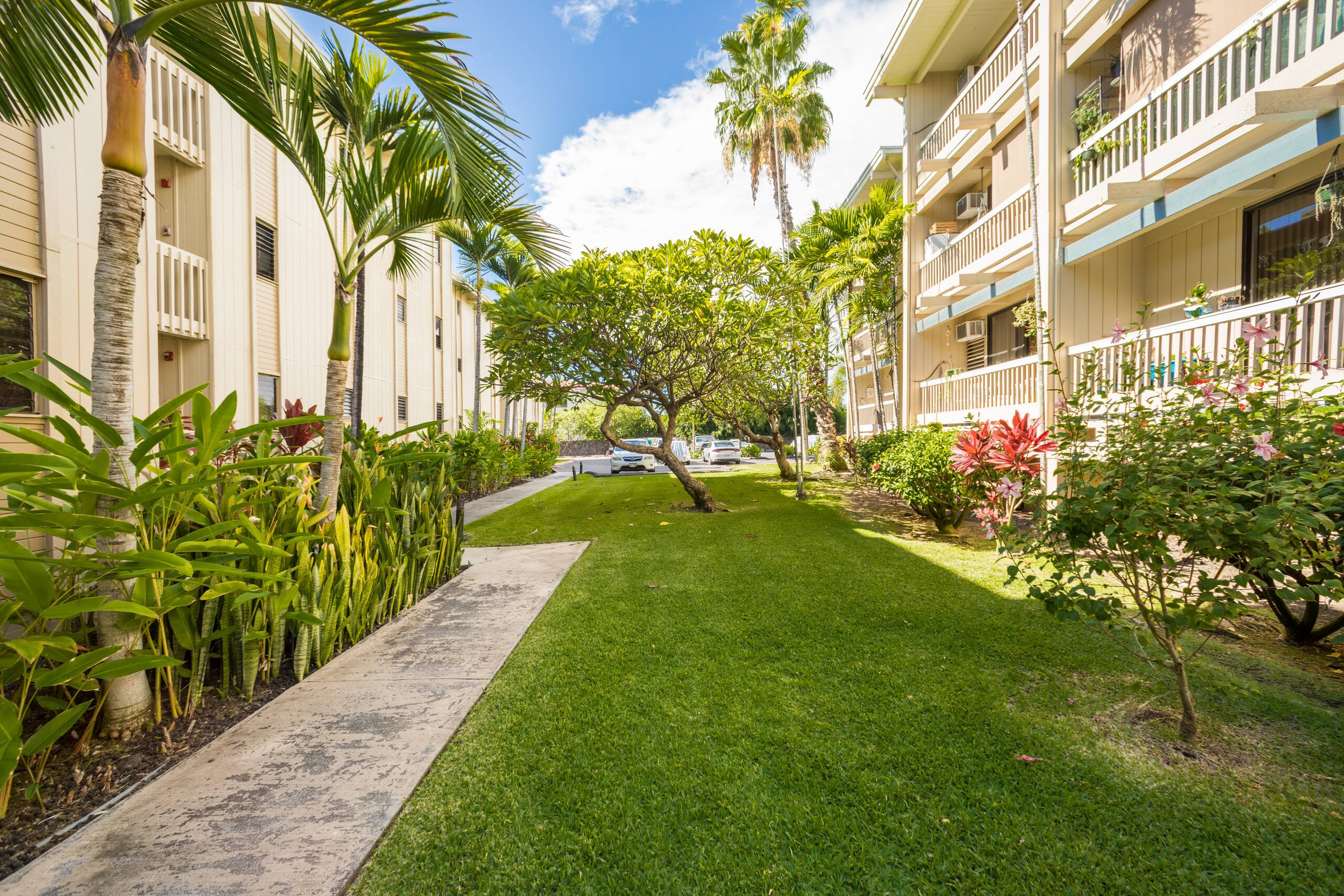 Condo in Kailua-Kona · ★4.91 · Studio · 1 bed · 1 bath - Image 25