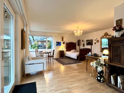 Popular Airbnb listing: Top View - Top Style in Luzern