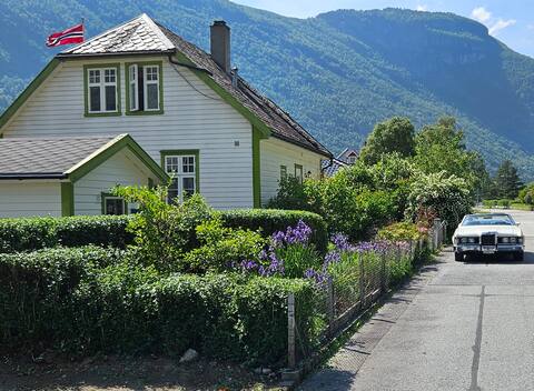 Charming and cozy house in Lærdal
