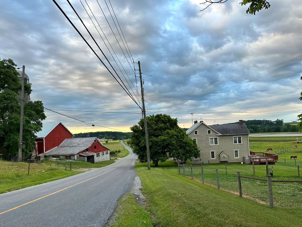 Lapp Farmhouse Bed & Breakfast Amish Country PA Houses for Rent in
