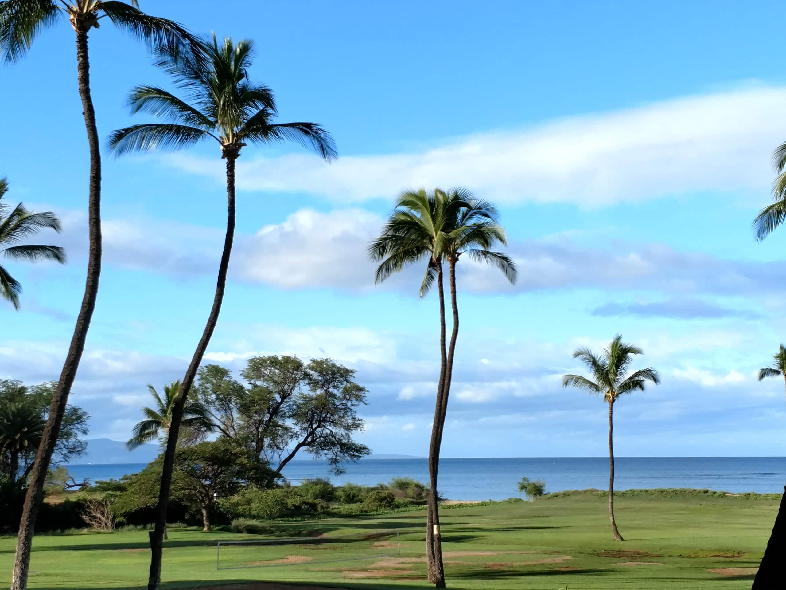 Condo in Kihei · ★4.85 · 2 bedrooms · 3 beds · 2 baths - Image 13