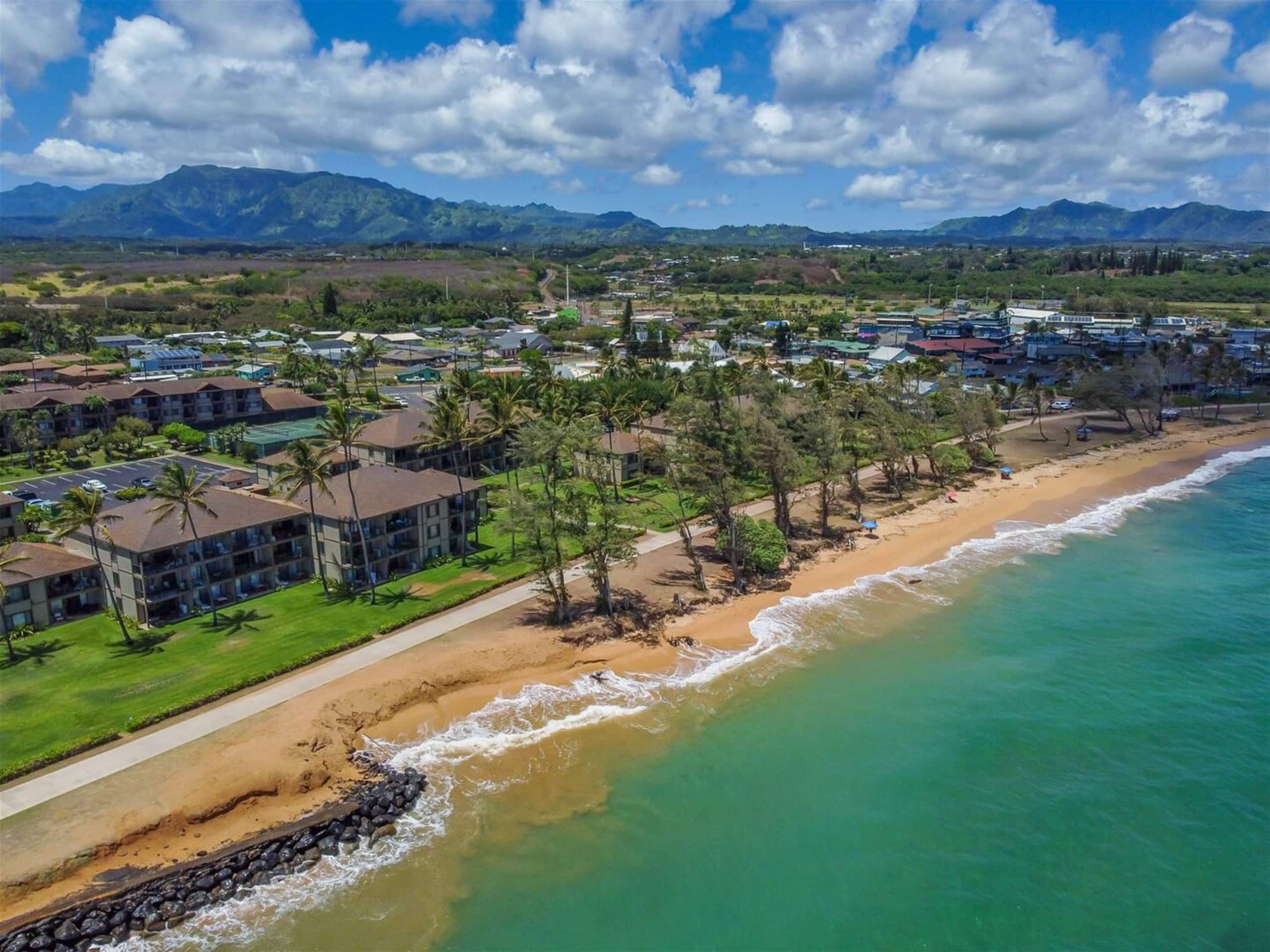 Condo in Kapaa · ★4.91 · 1 bedroom · 2 beds · 1 shared bath - Image 20