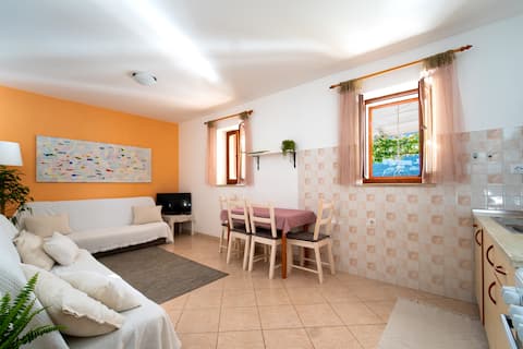 Successful Airbnb property: Art apartments SeaSoul-Sea house 1-Zaton in Zaton