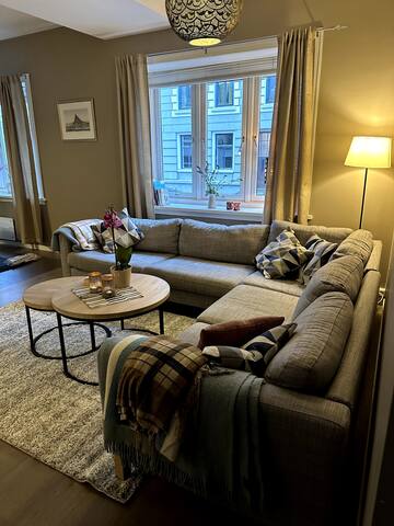 Spacious Central Oslo apartment in quiet area gallery image 3