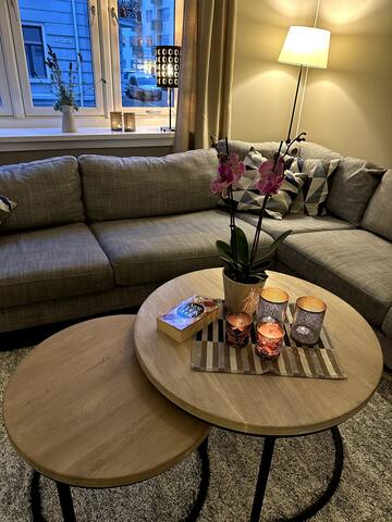 Spacious Central Oslo apartment in quiet area gallery image 4