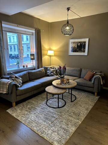 Spacious Central Oslo apartment in quiet area