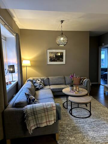 Spacious Central Oslo apartment in quiet area gallery image 2