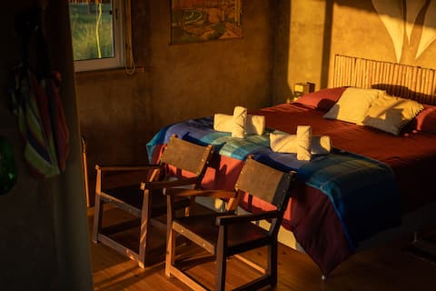 Swallows - Los Chajá Ecolodge