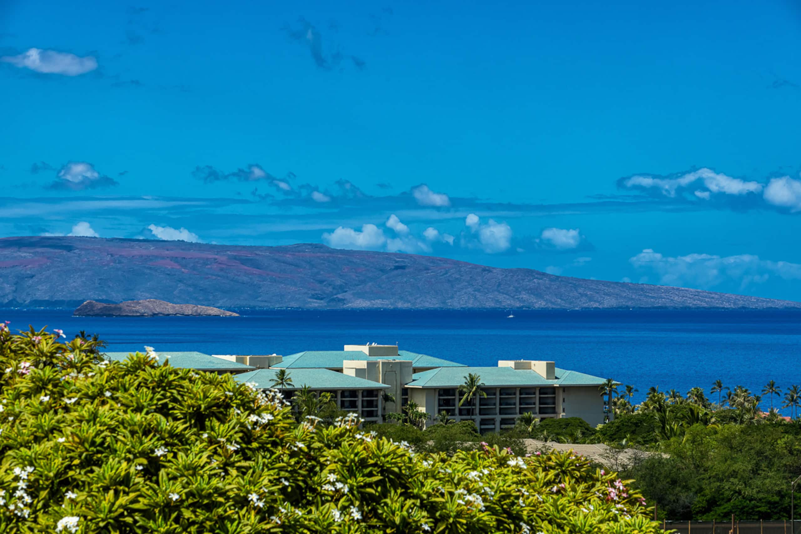 Condo in Wailea · ★4.94 · 2 bedrooms · 4 beds · 3 private baths - Image 23
