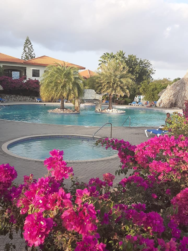 Seru Coral Ruime Studio 2 Pers 20m Van Zwembad - Curaçao