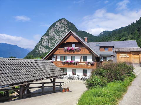 Apartma Mojca with balcony 3