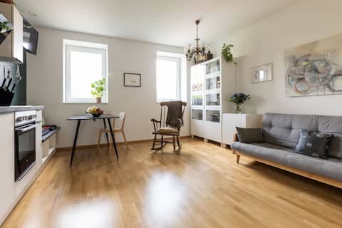 Top performing Airbnb: MyFavorite: 2 Rooms, parkview, next to Metro, AC in Favoriten