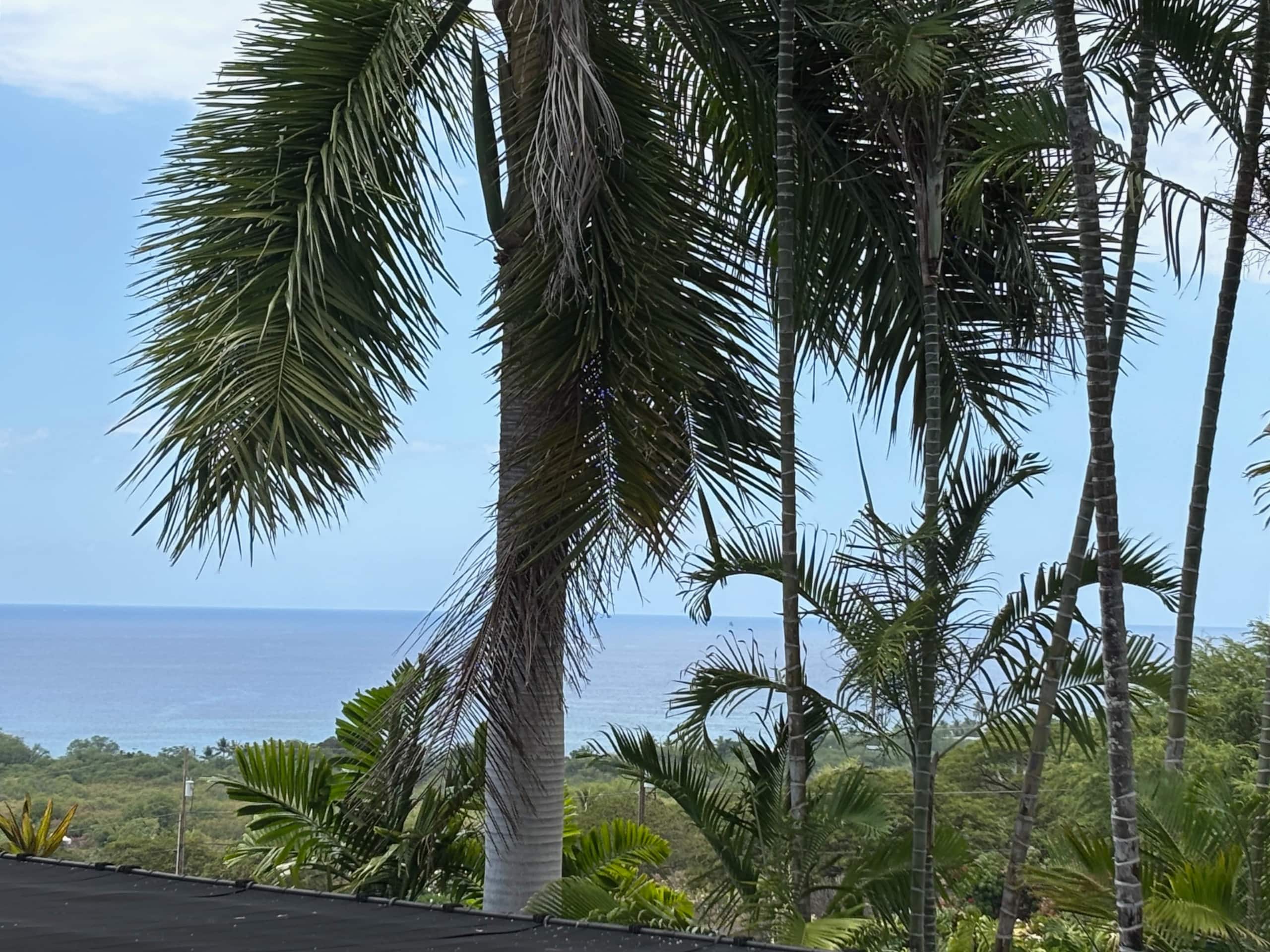 The Tree House Suite - Photo 18