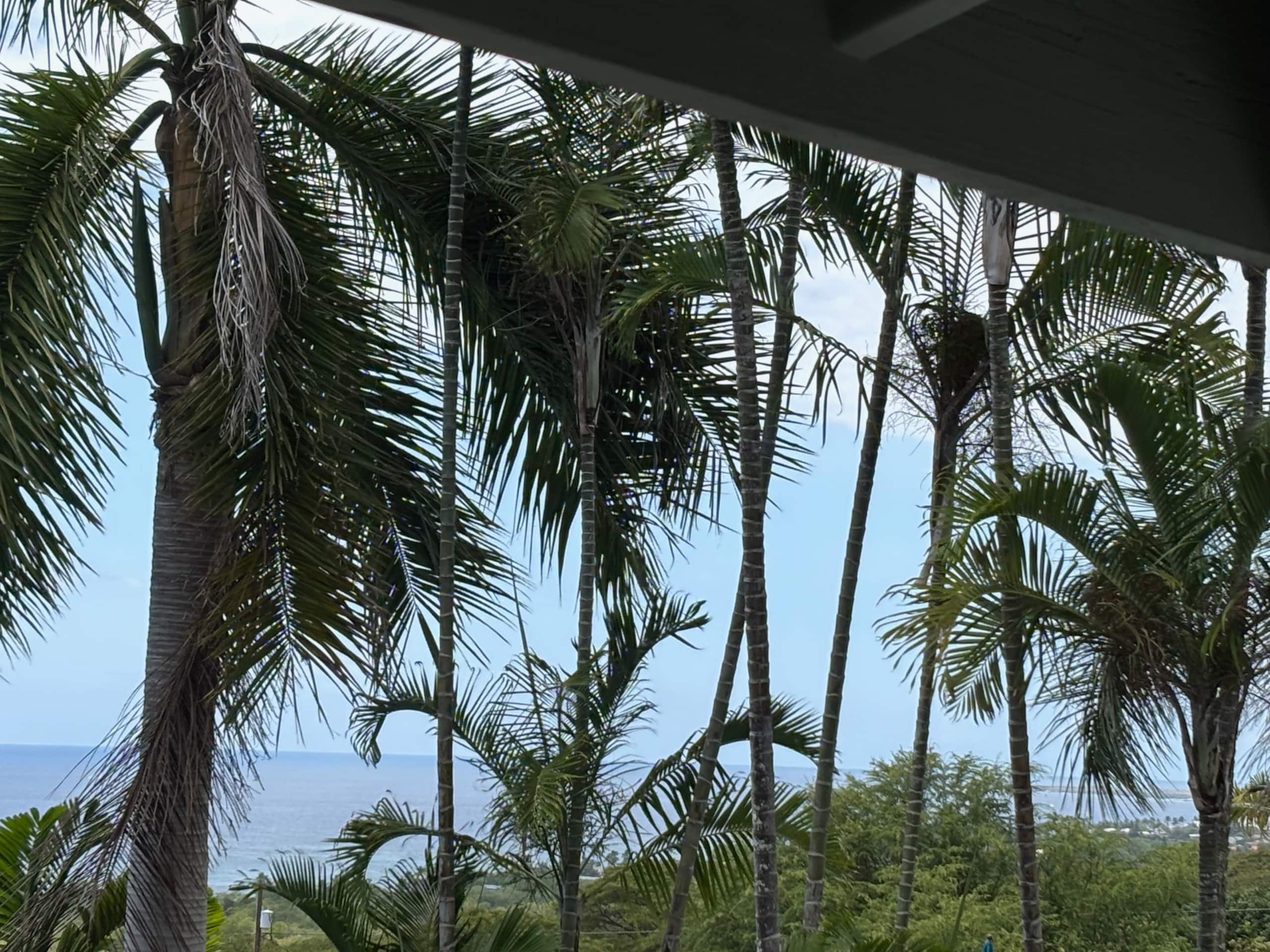 The Tree House Suite - Photo 17