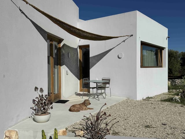 Villa with pool and sea view near Ostuni gallery image 3