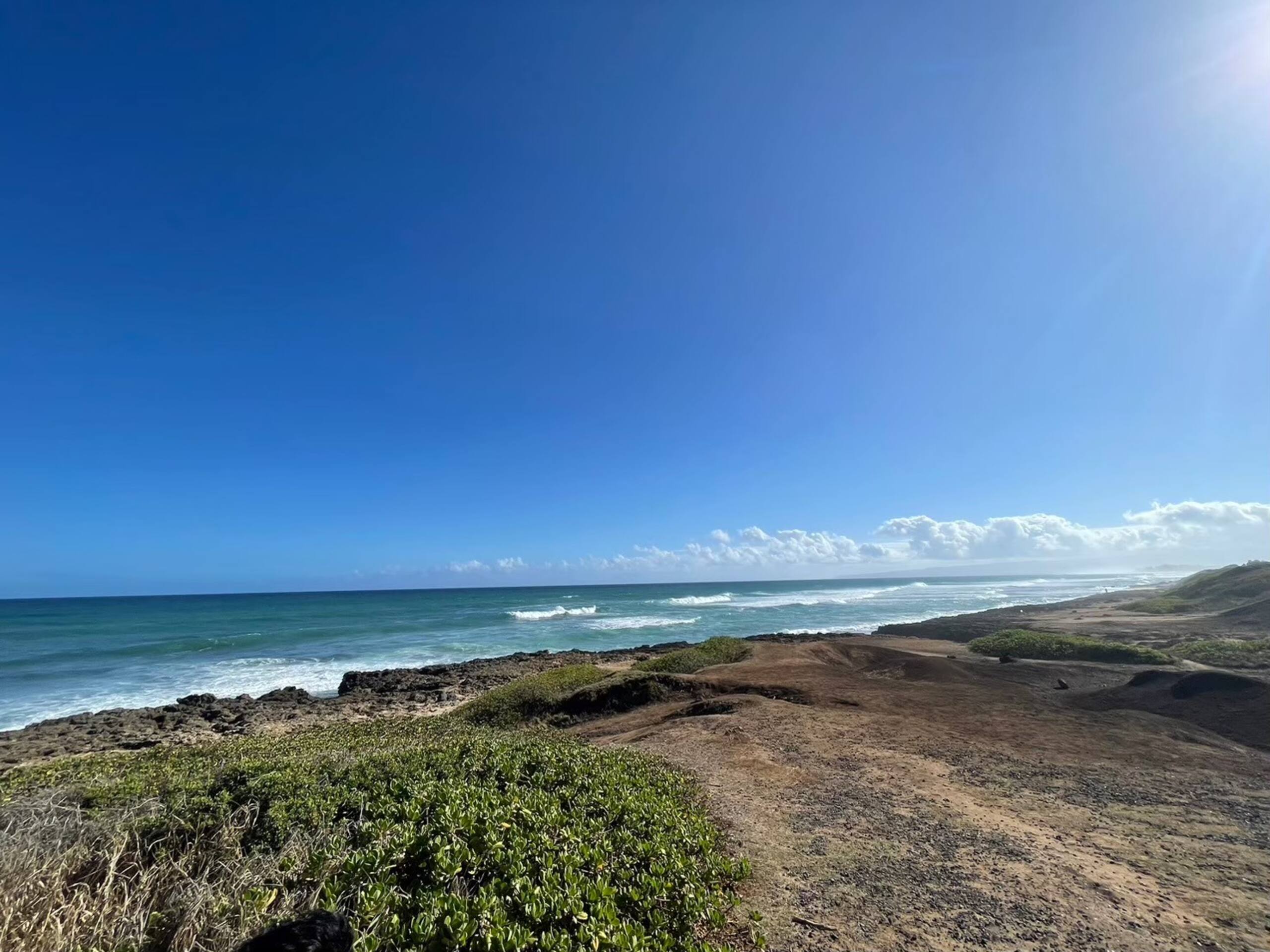 Condo in Honolulu · ★4.64 · Studio · 2 beds · 1 bath - Image 29