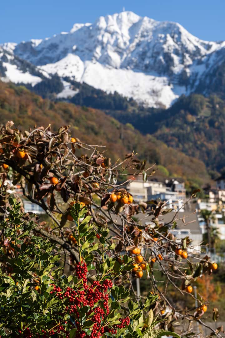 Image du logement 33