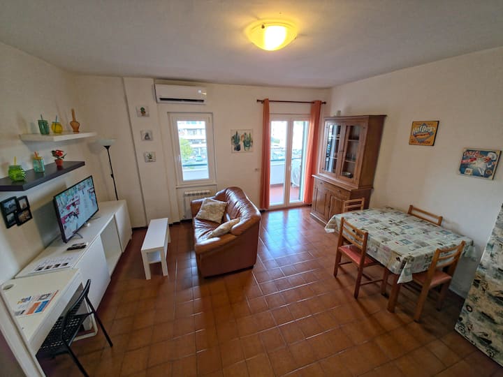 Wide-Angle Salon